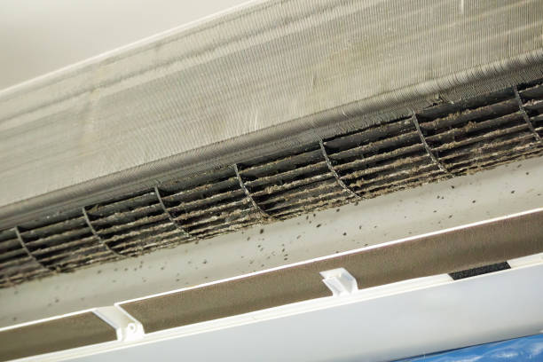 Best Commercial Air Duct Cleaning  in Sam Rayburn, TX